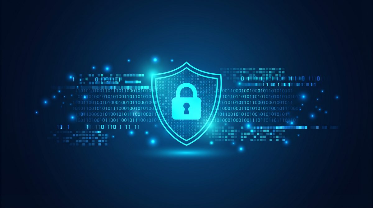 胸膜加速器隐私安全保护